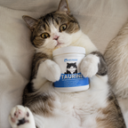 MinouSupp Taurine Féline