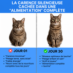MinouSupp Taurine Féline